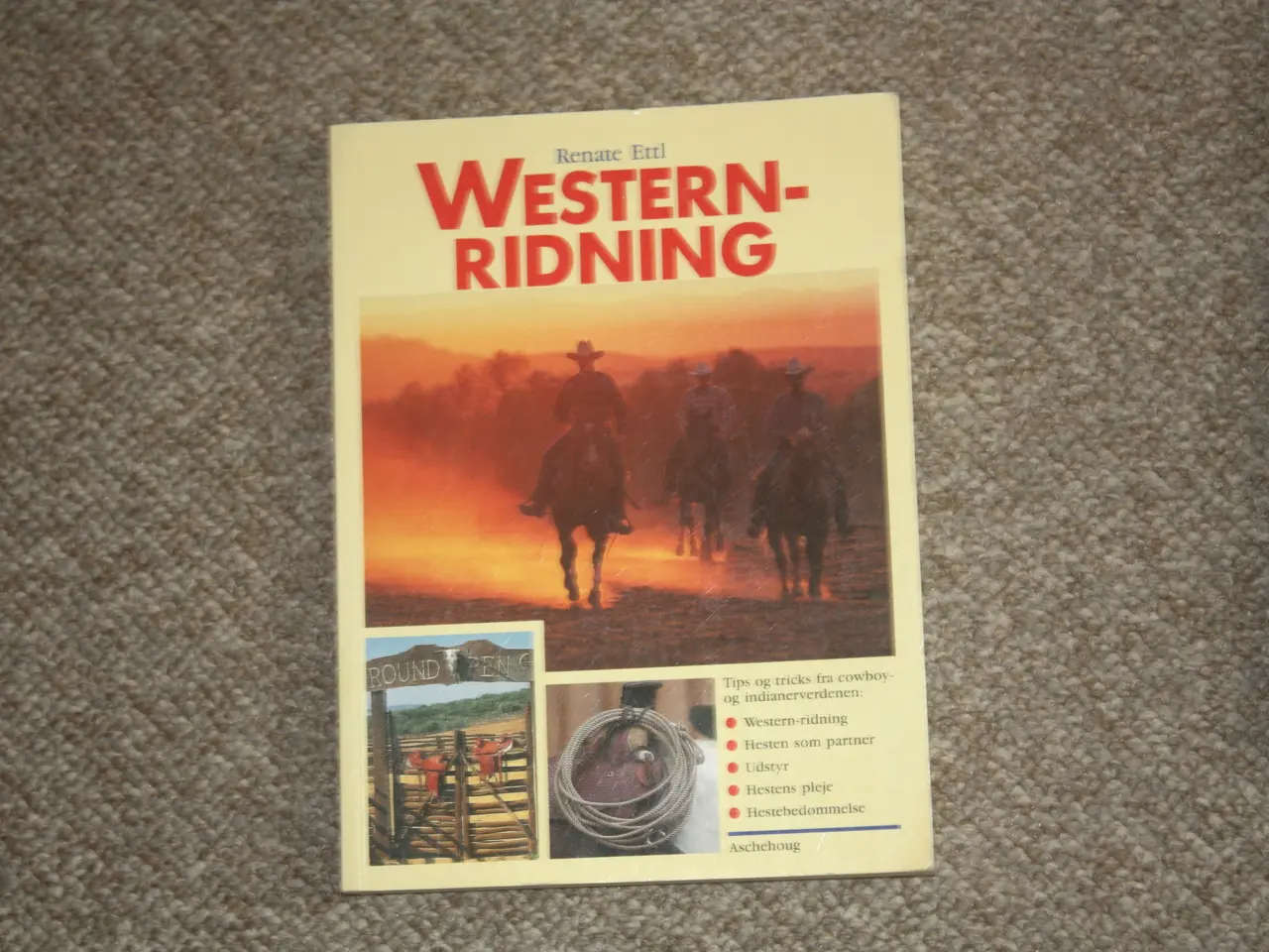 Billede 1 - Western - Ridning af Renate Ettl