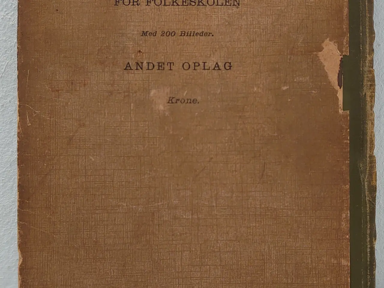 Billede 2 - C.C.Gormsen:Botanik.76 billeder. 1907.