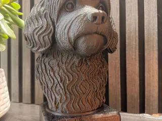 Havanese Hund Buste
