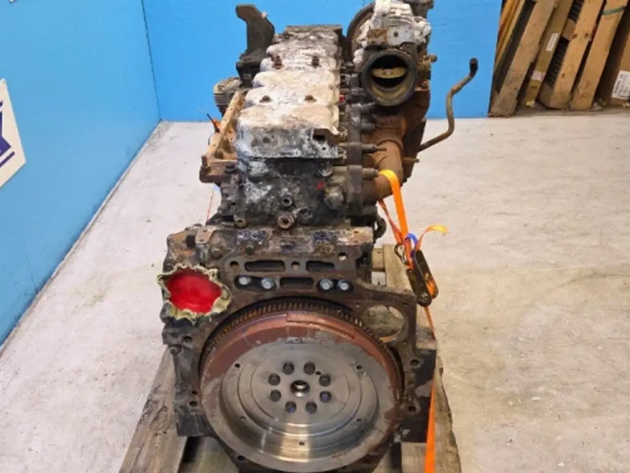 Billede 7 - Iveco F4DGE614H Motor 51693360