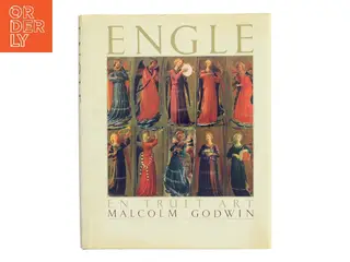Engle – En truet art af Malcolm Godwin (Bog)