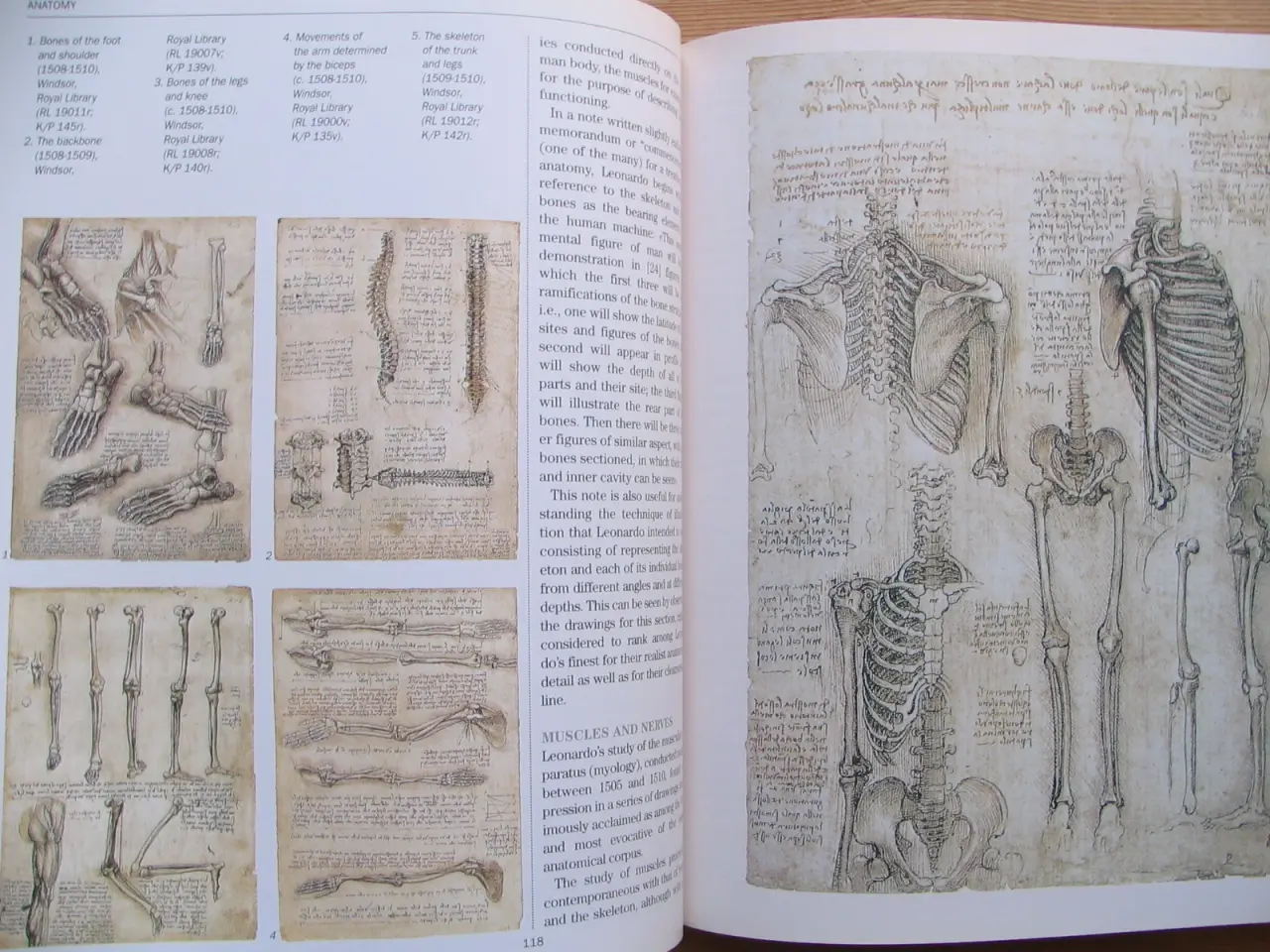 Billede 7 - Leonardo da Vinci (1452-1519)