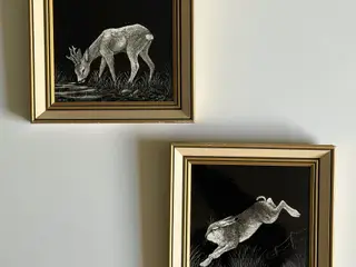 Sæt af gamle billeder m dyr