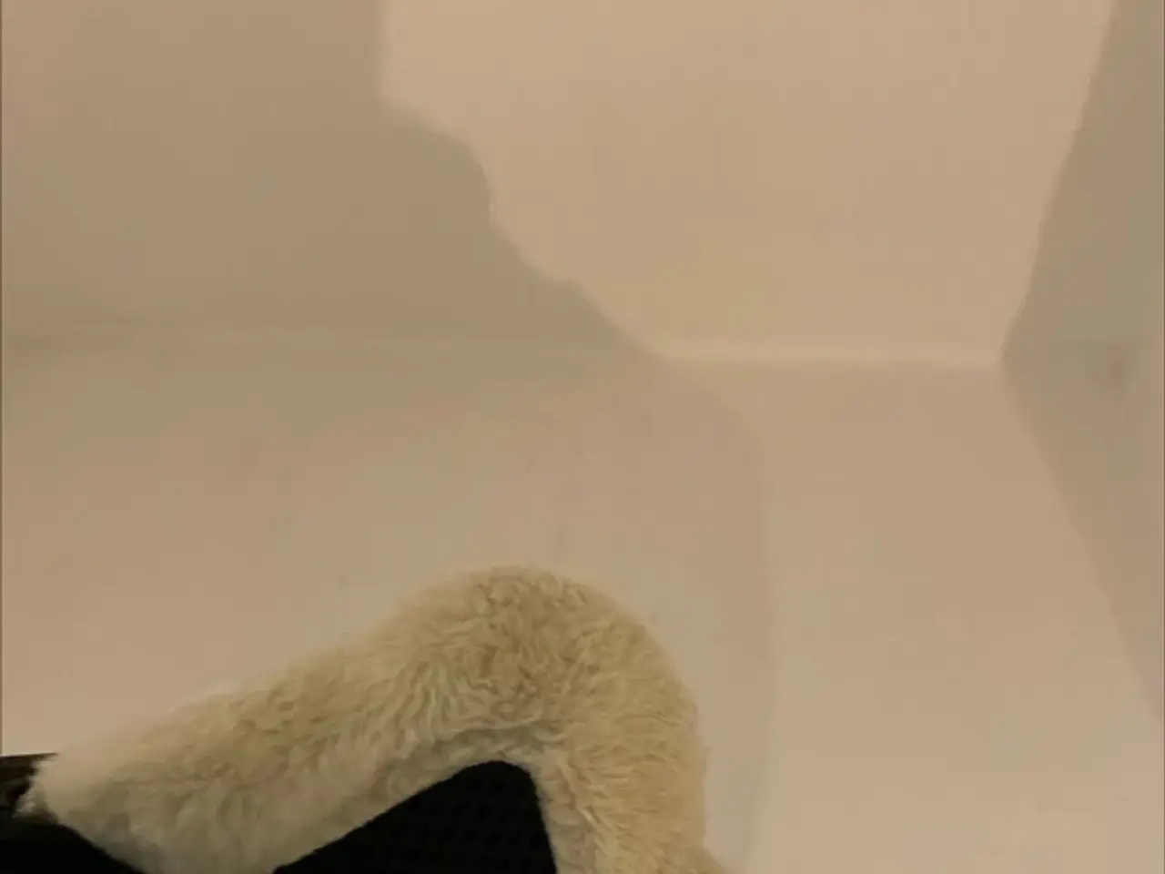 Billede 4 - Ski Hjelm Salomon str. S (52 til 55 cm) kan sendes