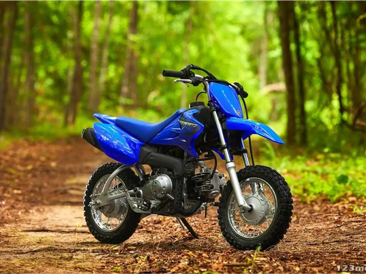 Billede 2 - Yamaha TT R50E