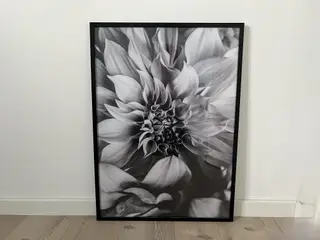 Plakat inkl. glas og ramme