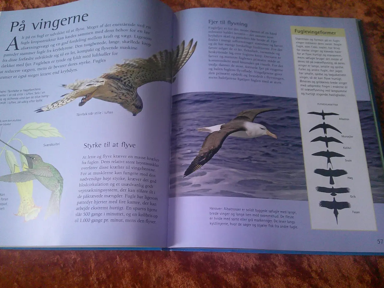 Billede 3 - Den store guide til alverdens dyr, Jinny Johnson,