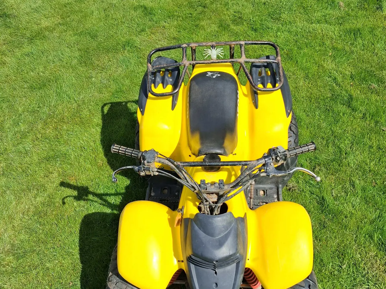 Billede 5 - Aeon cobra 100cc