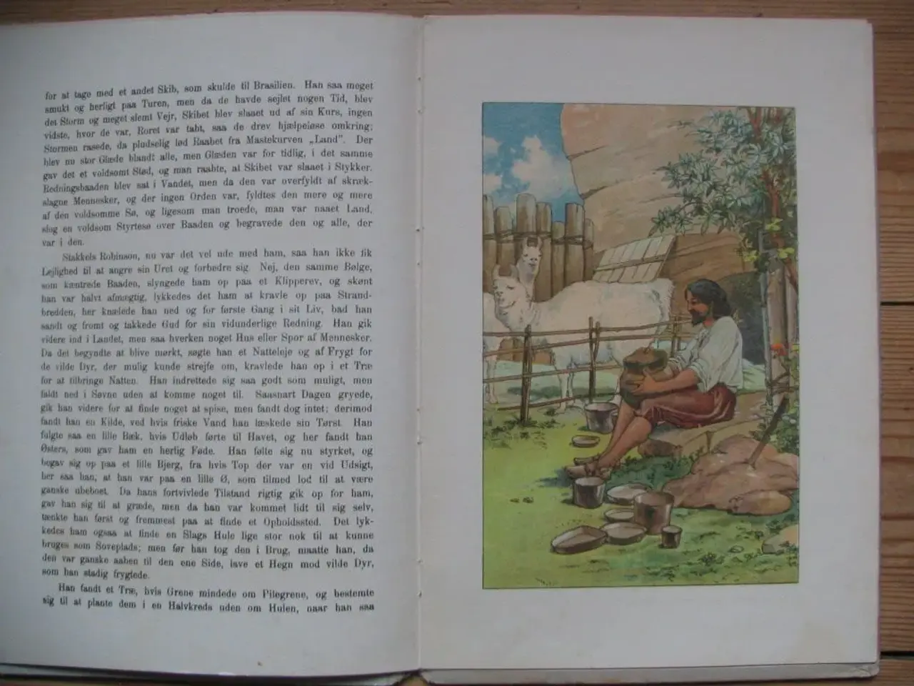 Billede 2 - Robinson Crusoe