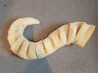 Furry Tail/hale