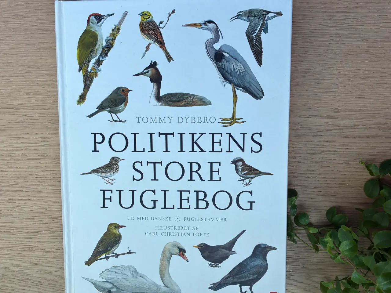 Billede 1 - Politikens store fuglebog   Af Tommy Dybbro