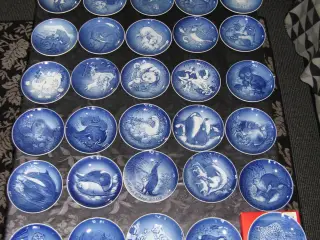 platter
