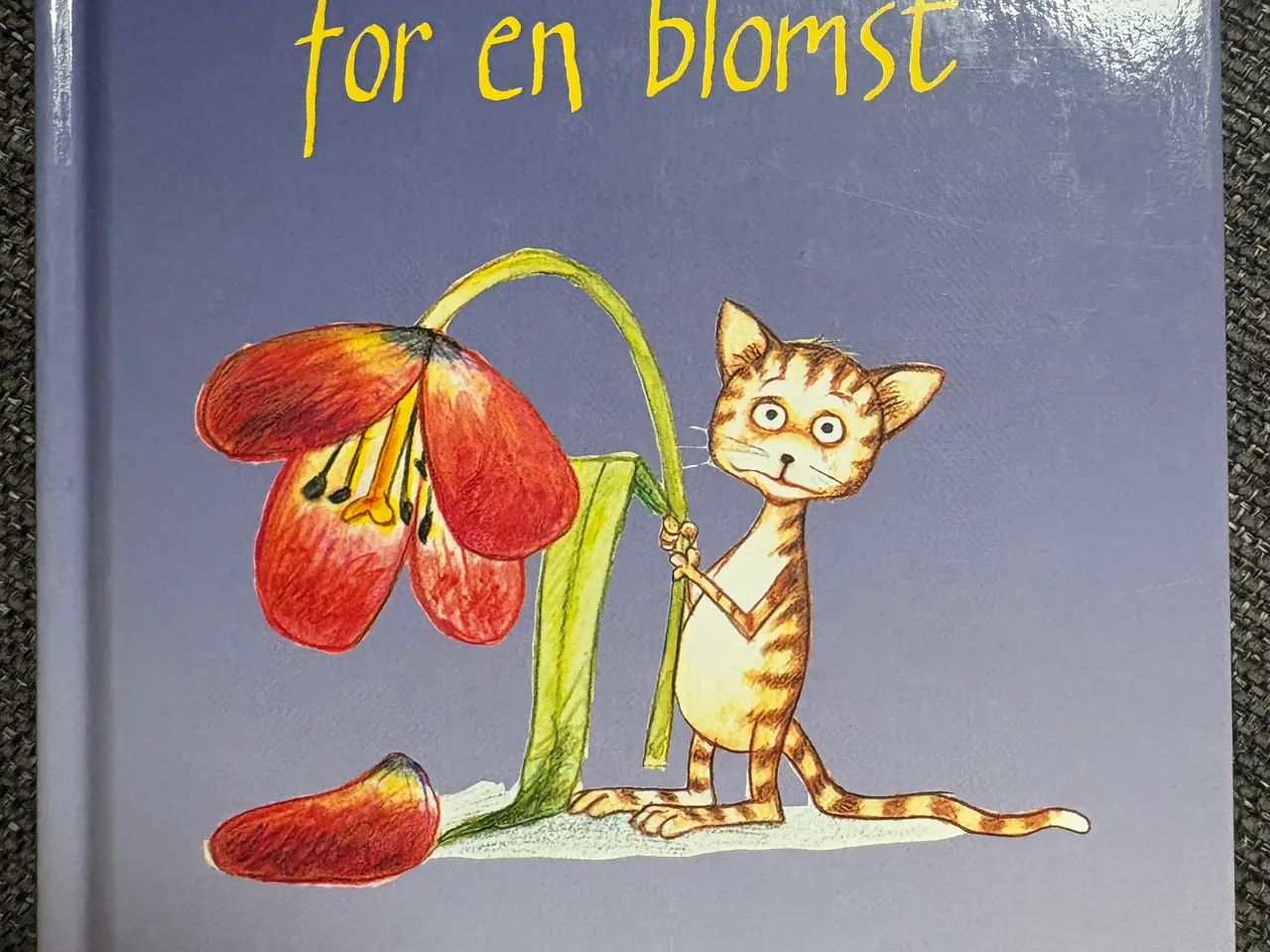 Billede 1 - I stedet for en blomst