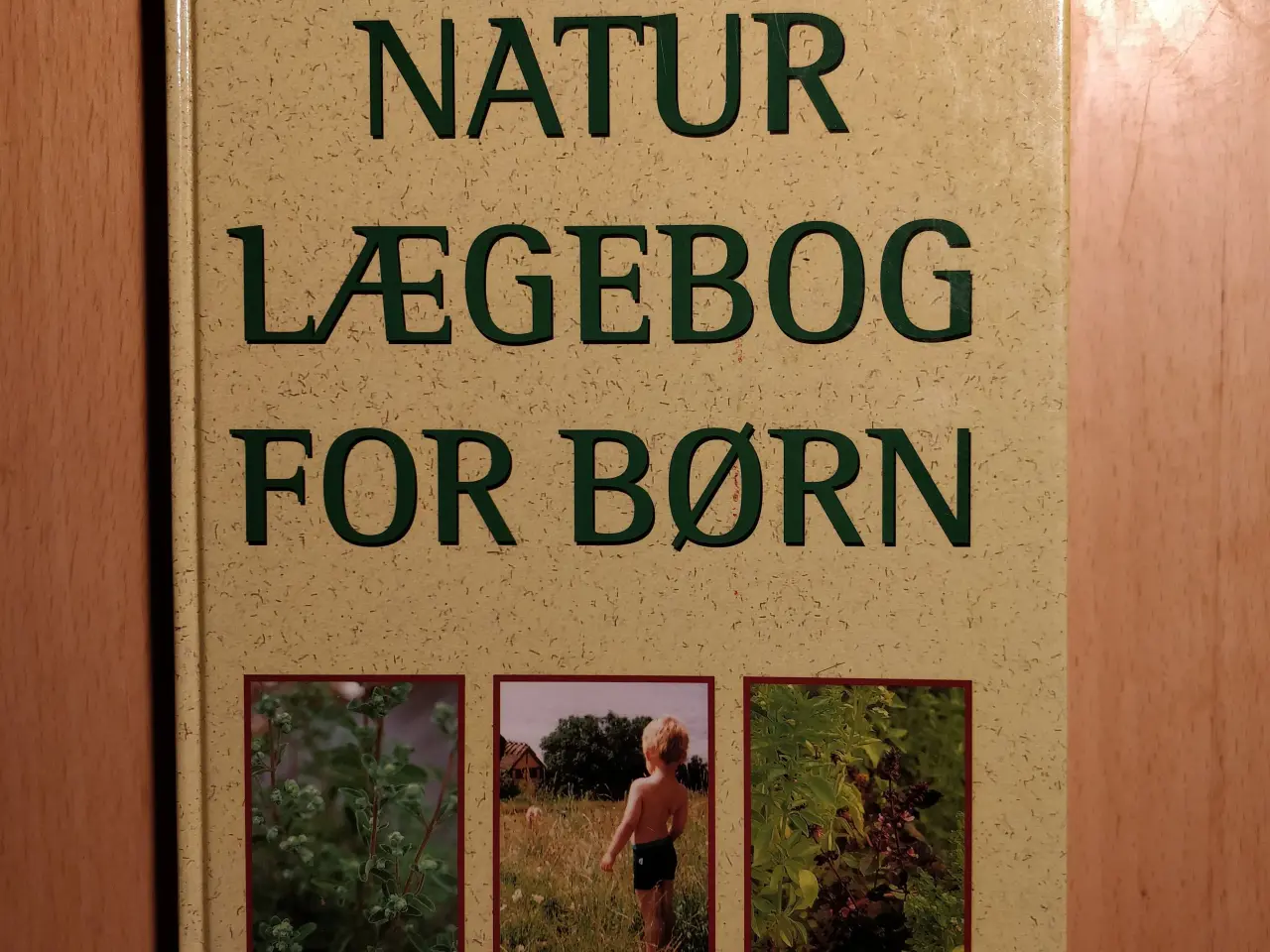 Billede 1 - Natur lægebog for børn
