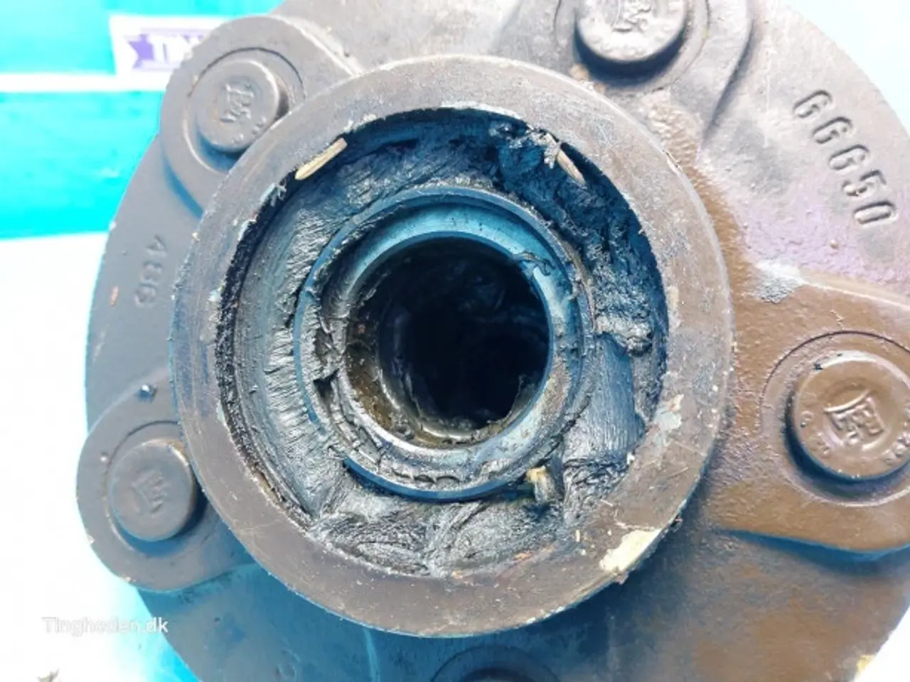 Billede 10 - Massey Ferguson 31 Hub 28150899