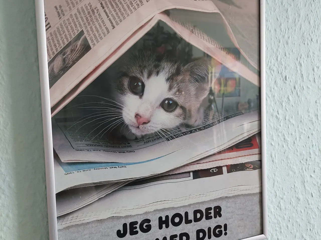 Billede 1 - billede med motiv kattekilling