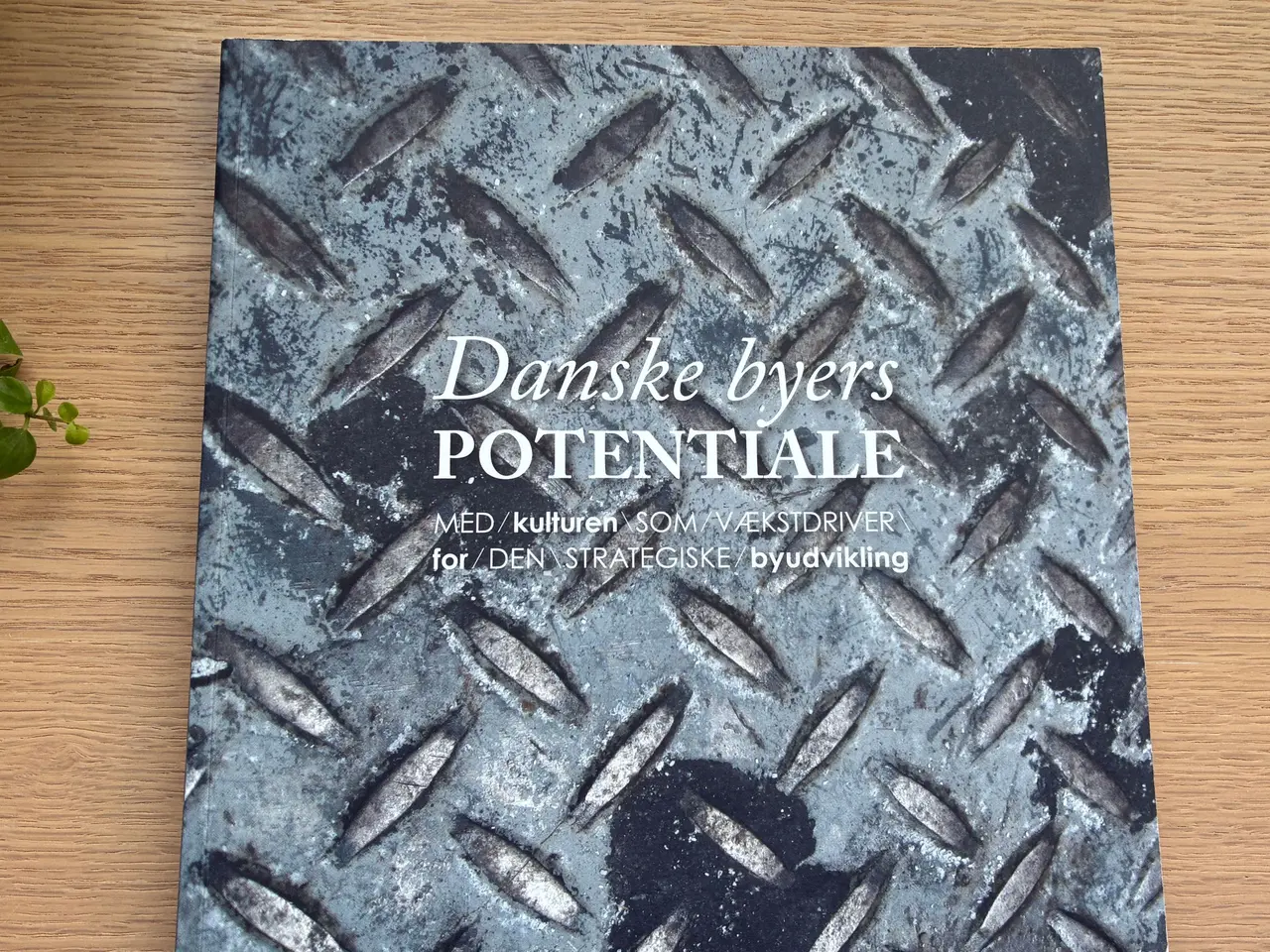 Billede 1 - Danske byers POTENTIALE