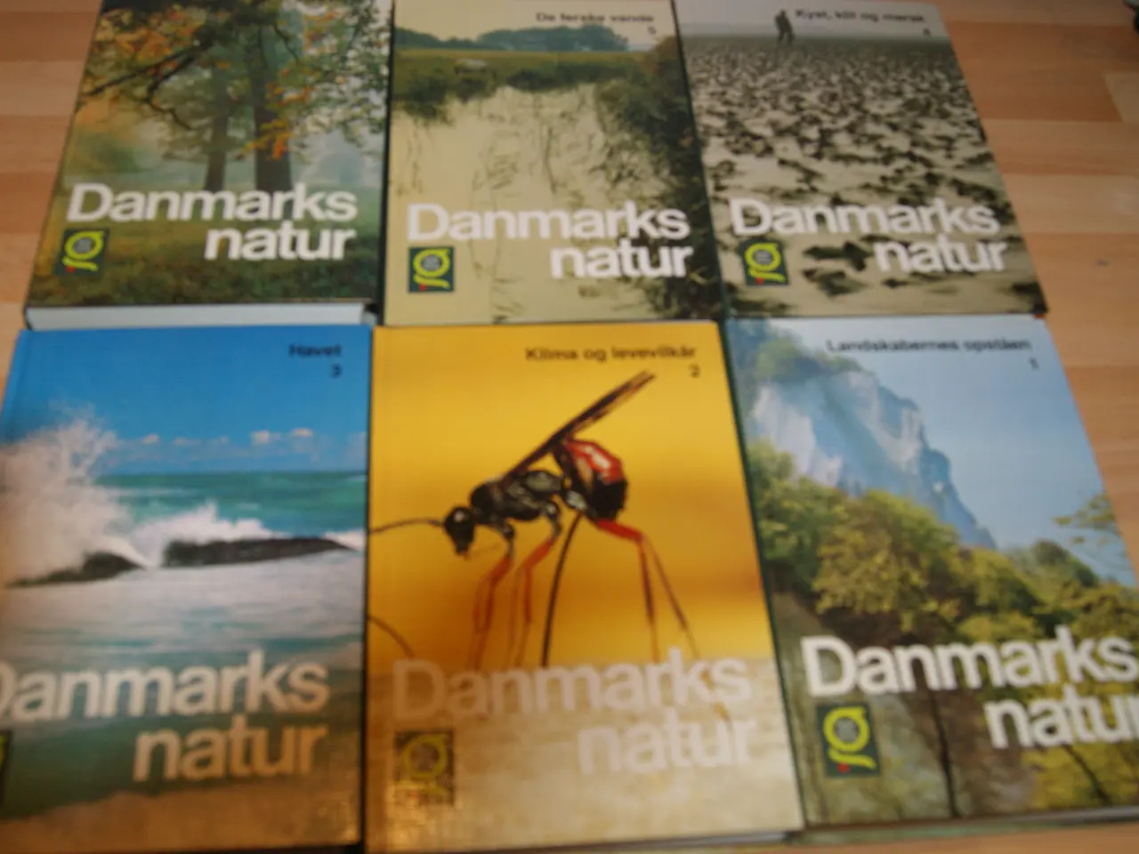 Billede 2 - Danmarks naturr