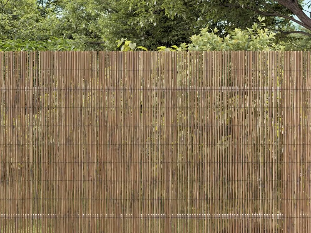 Billede 1 - Havehegn i siv - 600 × 100 cm rulle
