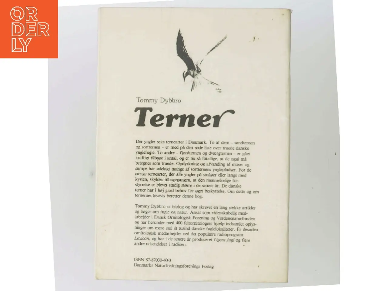 Billede 3 - Terner af Tommy Dybbro (Bog)