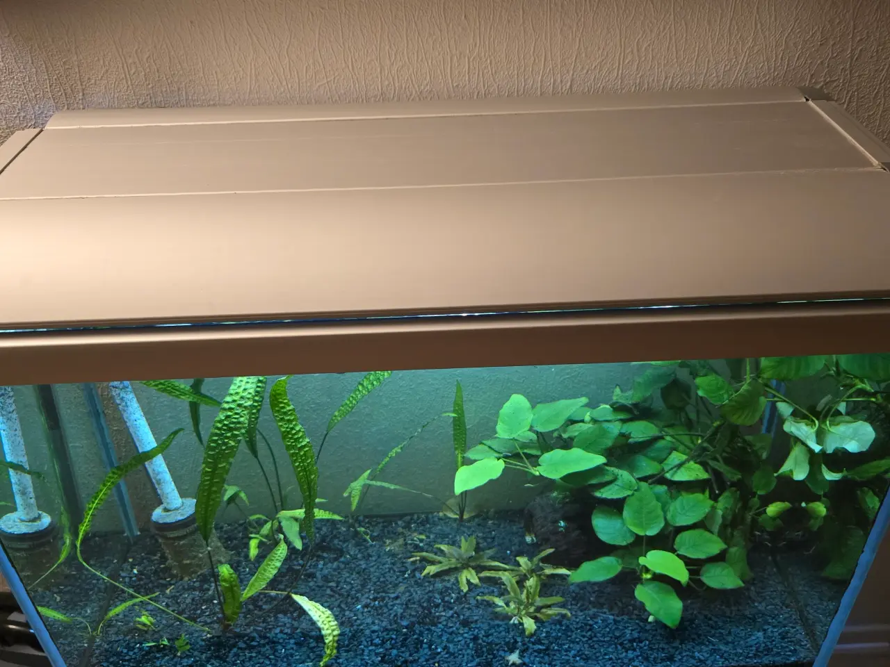 Billede 5 - 160 liter mark 2 akvarium