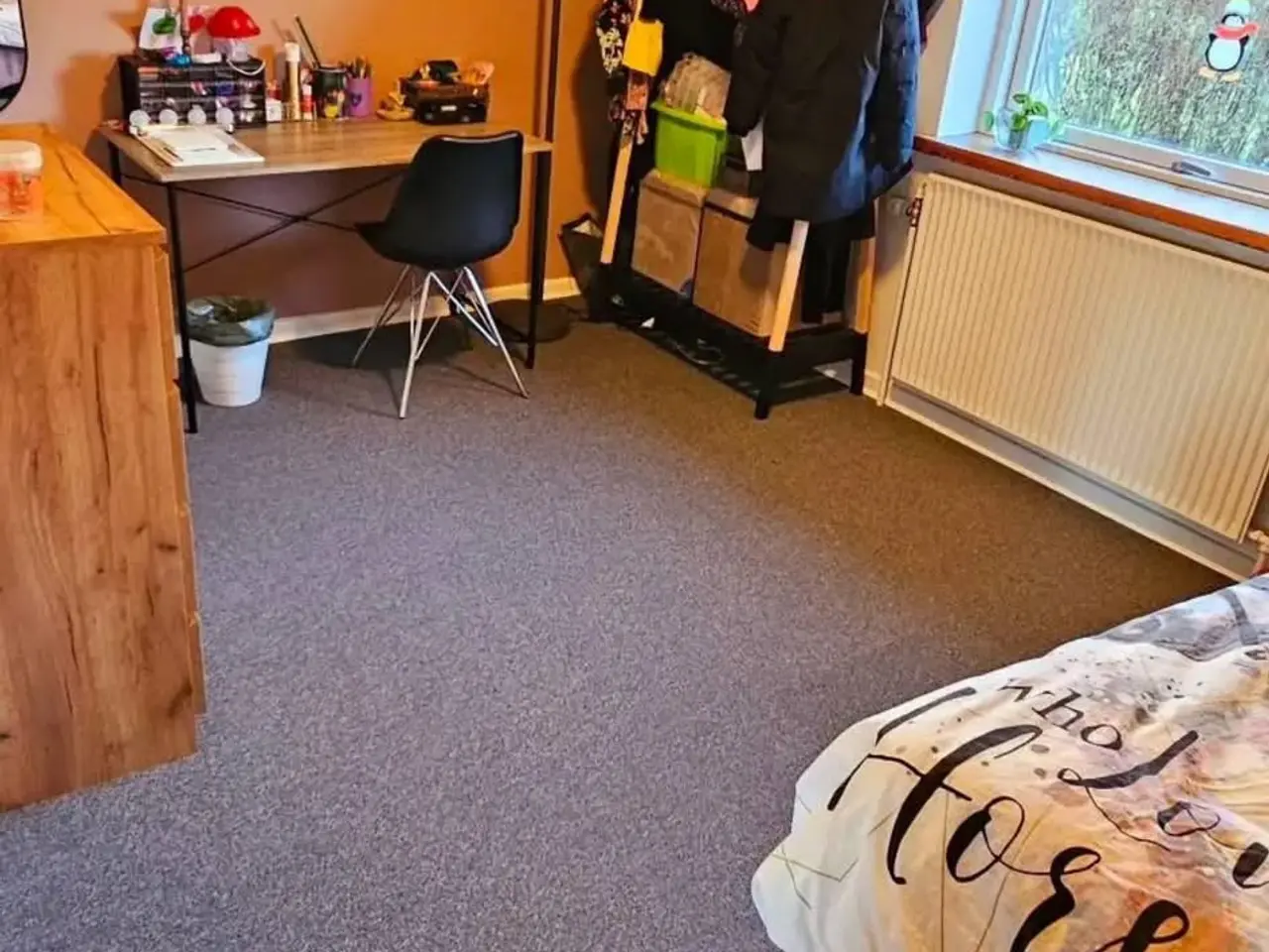 Billede 9 - Nedlagt landbrug uden jord