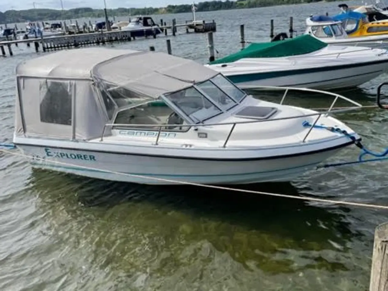 Billede 7 - campion 185 med 115 hk yamaha 4 takter