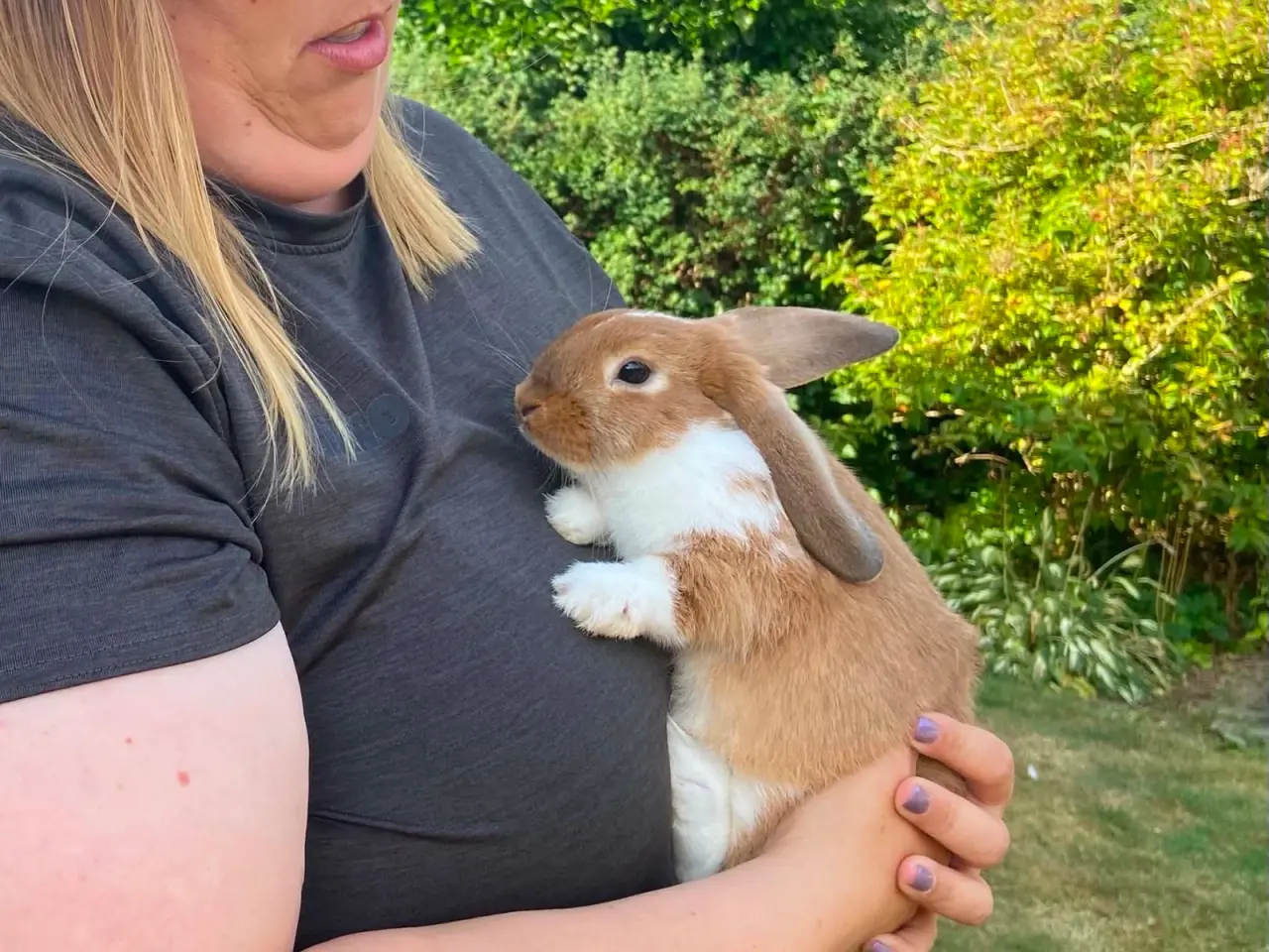 Billede 2 - Smuk lille pige kanin🥕