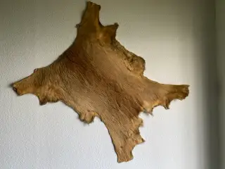 Rådyrskind