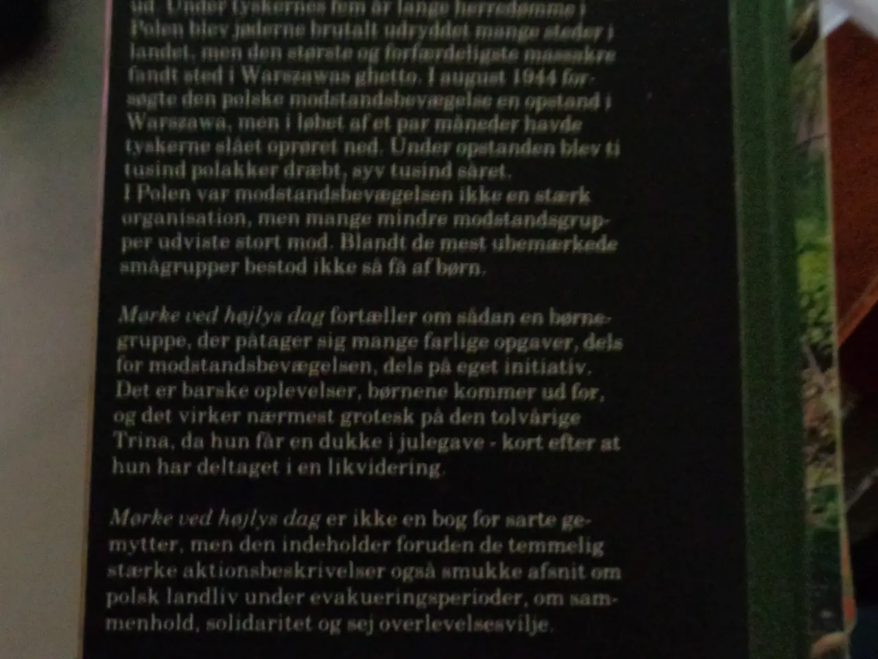 Billede 2 - Mørke ved højlys dag
