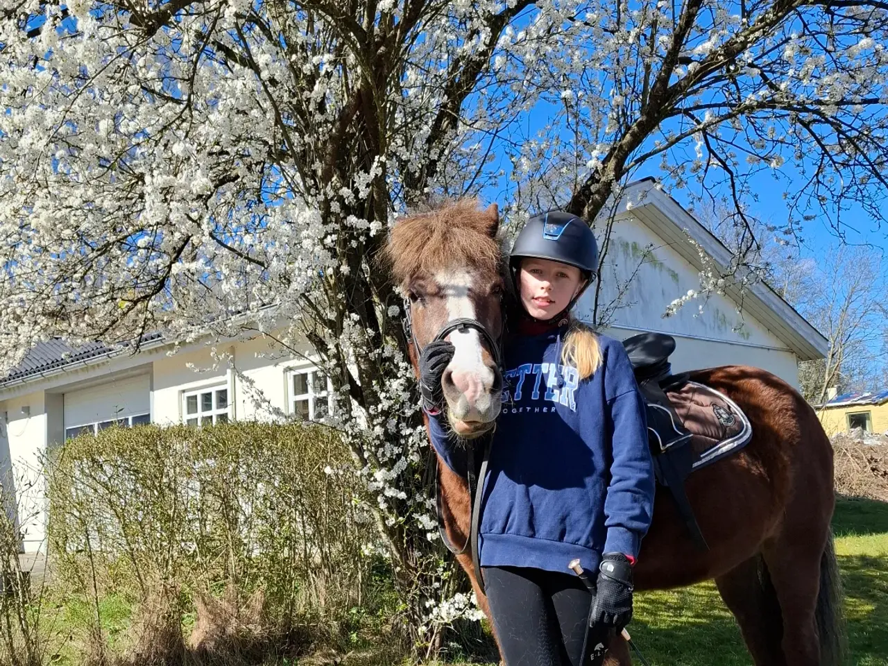 Billede 5 - Islænder børnepony