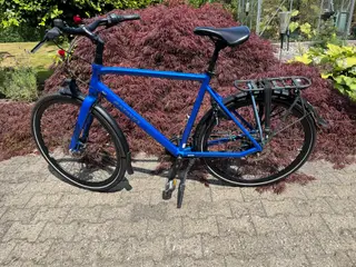 Batavus Dinstag Exclusive