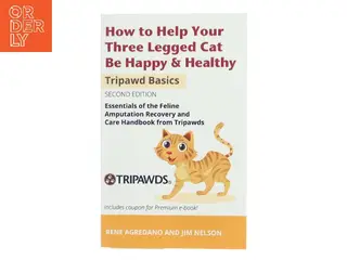 How to Help Your Three Legged Cat Be Happy & Healthy (Bog)