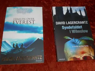 Det der ikke slår os ihjel m.fl, David Lagercrantz