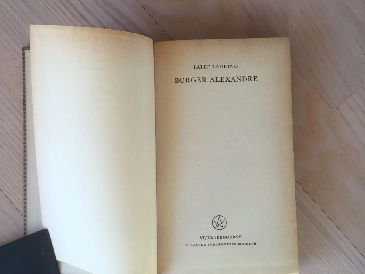 Billede 2 - Borger Alexandre