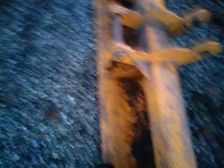 Planerskovl