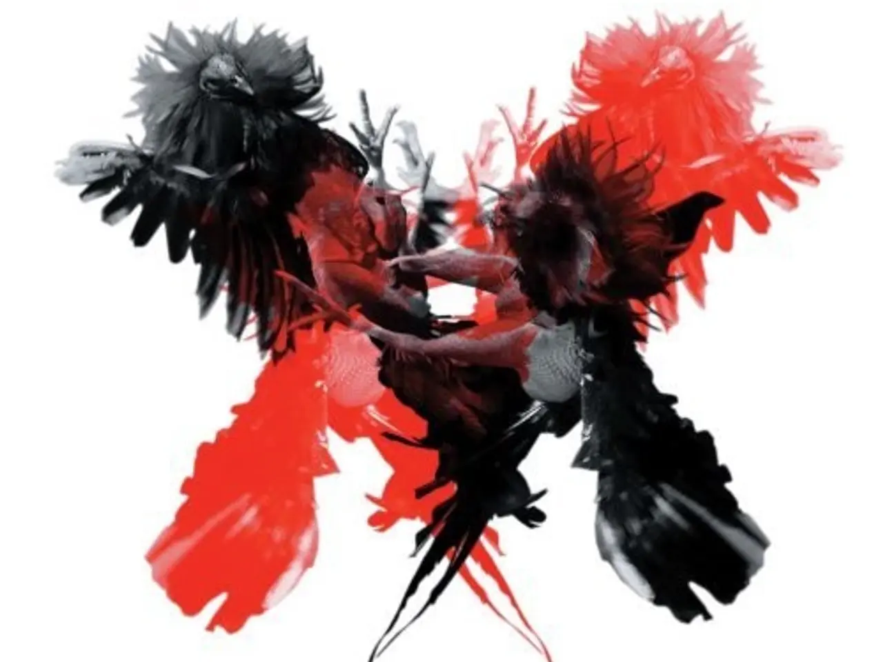 Billede 1 - Kings Of Leon – Only By The Night – CD