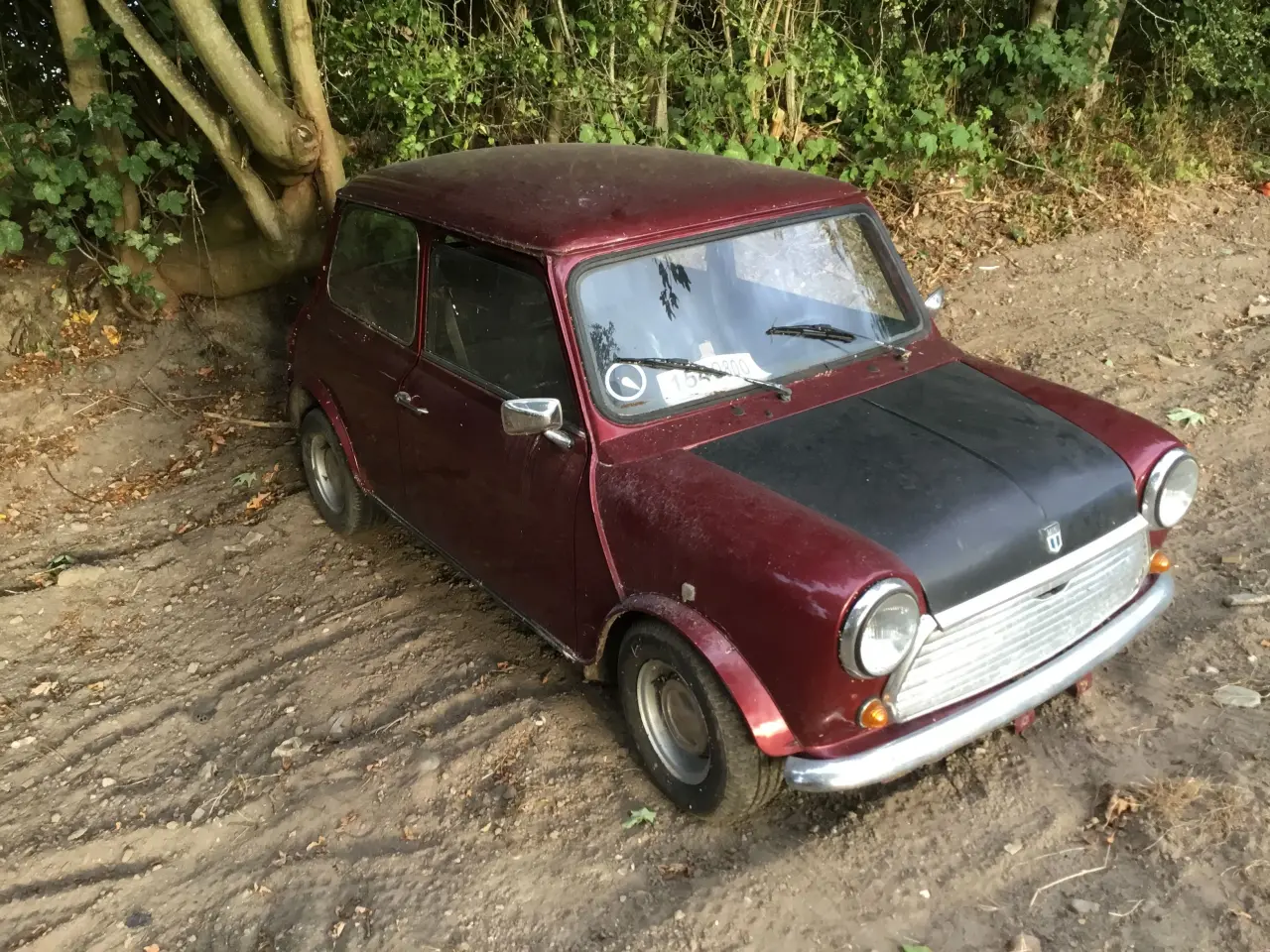 Billede 2 - Morris macot 1100 special dansk 