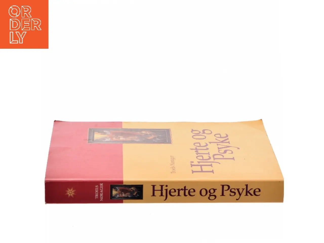 Billede 2 - Hjerte og psyke : studier i den religiøse oplevens metapsykologi og diskurs af Troels Nørager (Bog)