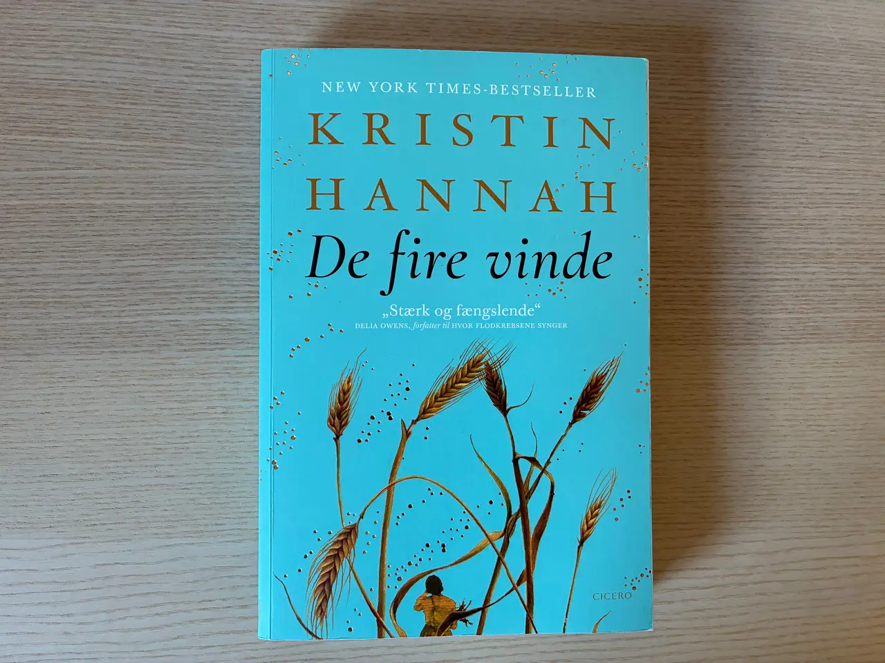 Billede 1 - De fire vinde - Kristin Hannah