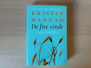 De fire vinde - Kristin Hannah