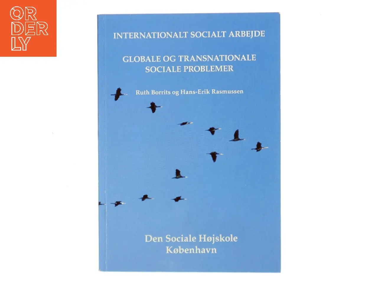 Billede 1 - Internationalt socialt arbejde – Globale og transnationale sociale problemer (Bog)