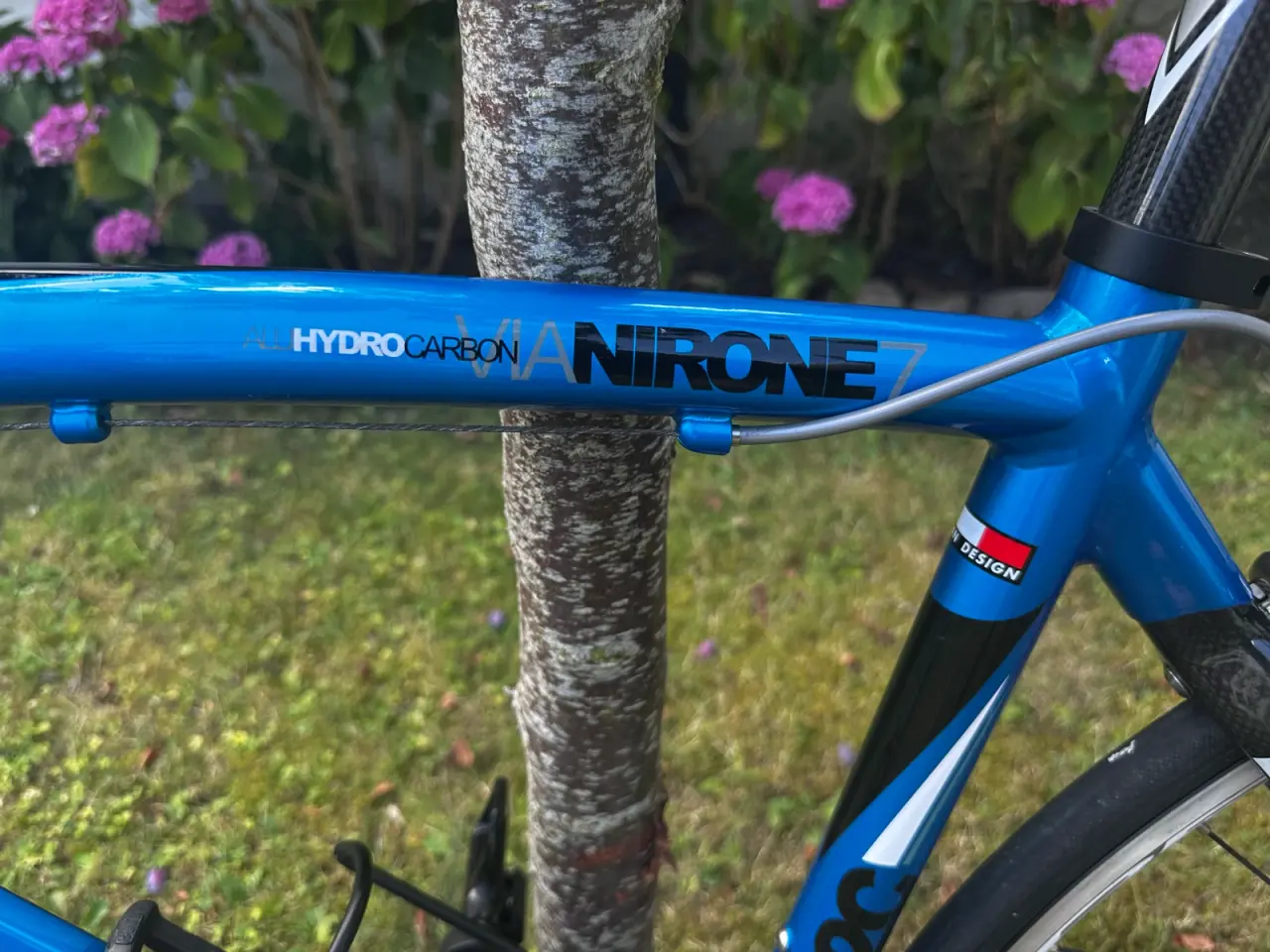 Billede 9 - Bianchi Via Nirone racercykel 55 cm