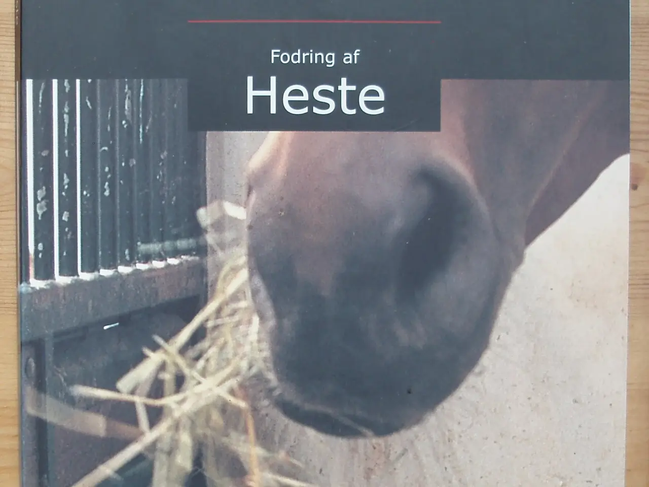 Billede 1 - Fodring af Heste