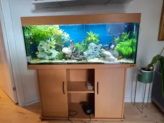 240 l Juveler akvarie med alt tilbehør.