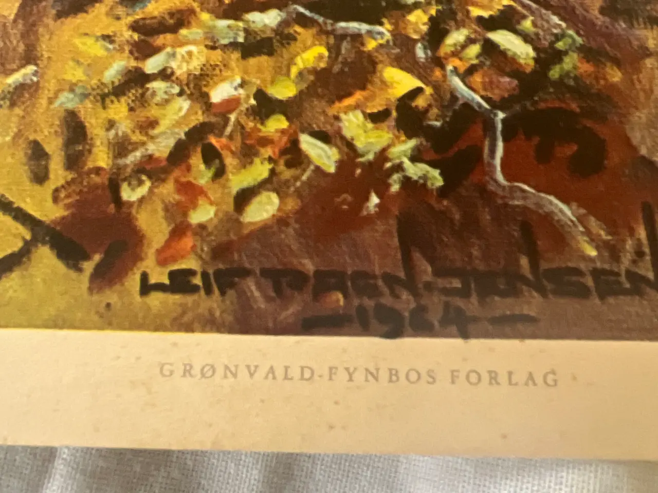 Billede 9 - Vilt billeder i tryk