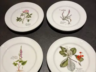 Flora Danica tallerkener sælges