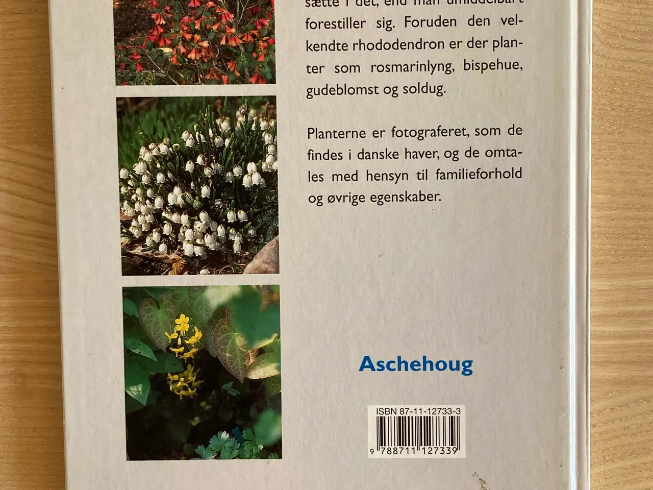 Billede 2 - Aschehougs bog om surbundsbedet