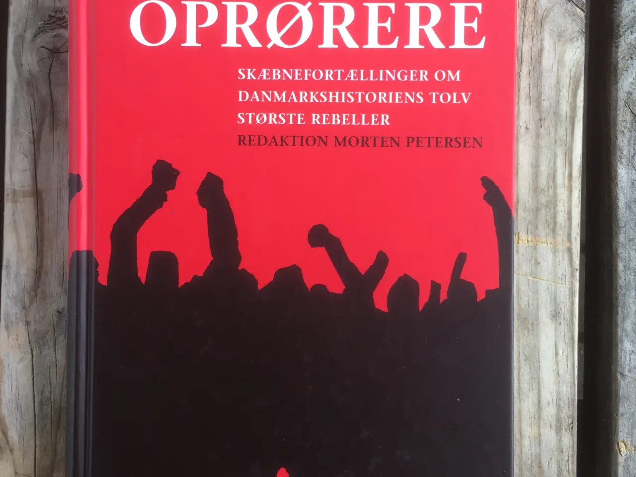 Billede 1 - Oprørerne, Morten Petersen, emne: historie og samf