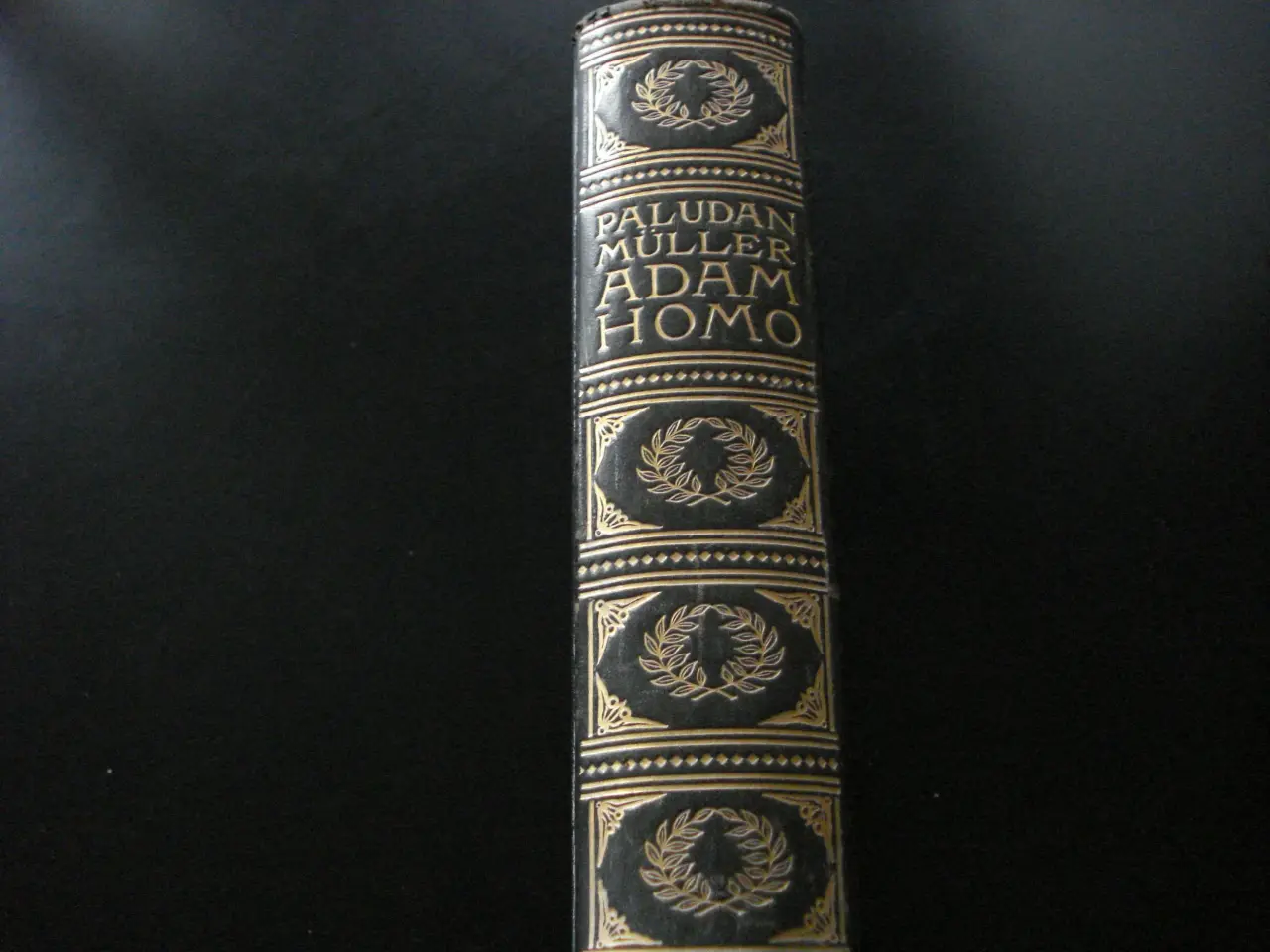 Billede 1 - Adam Homo
